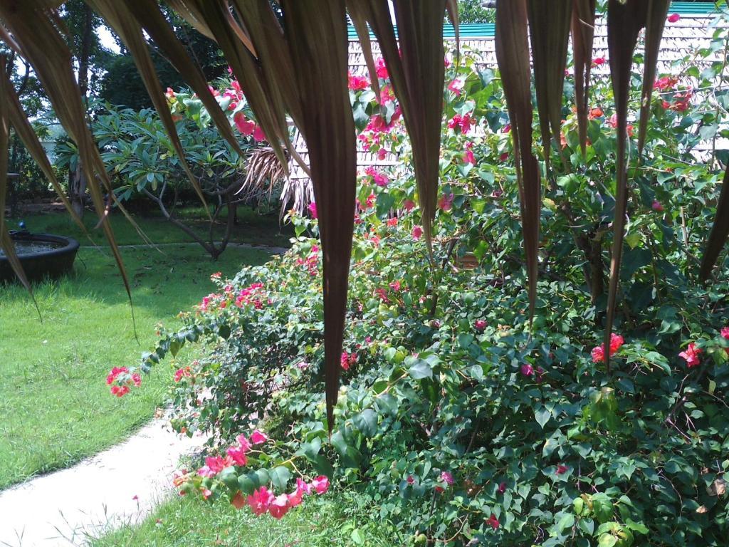 Ban Sabai Sabai Guest House Kanchanaburi Exterior foto